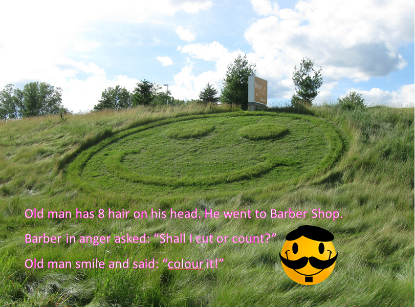 8-hair