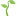 1f331-1