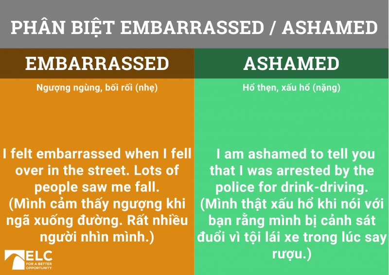 compare9