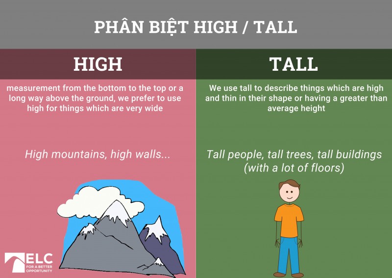 high-and-tall